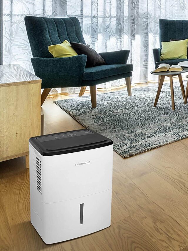 How to choose a dehumidifier? Which one should you buy?